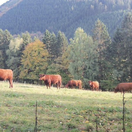 Urlaub Auf Dem Bauernhof Apartment Netphen Luaran gambar