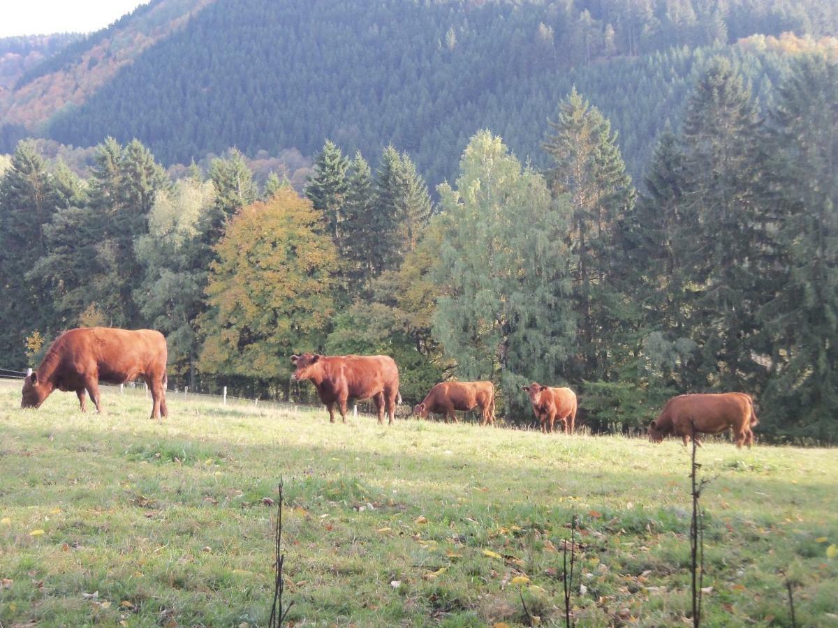 Urlaub Auf Dem Bauernhof Apartment Netphen Luaran gambar